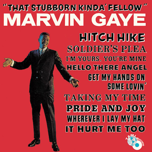 Marvin Gaye Hitch Hike profile picture