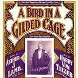 Download or print Maurice J. Gunsky A Bird In A Gilded Cage Sheet Music Printable PDF 5-page score for Classics / arranged Piano, Vocal & Guitar (Right-Hand Melody) SKU: 122787