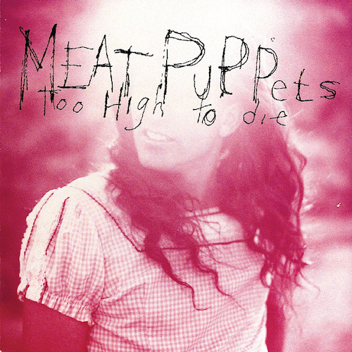 Meat Puppets Backwater profile picture