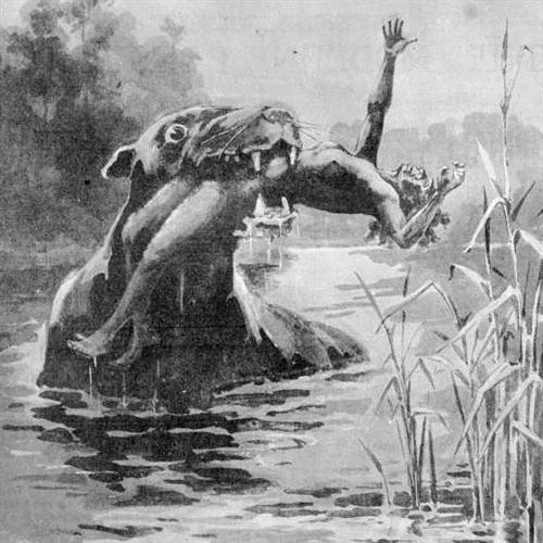 Morva Cogan The Bunyip Song pictures Morva Cogan The Bunyip Song profile picture