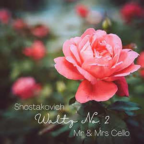 Mr & Mrs Cello Waltz No. 2 profile picture
