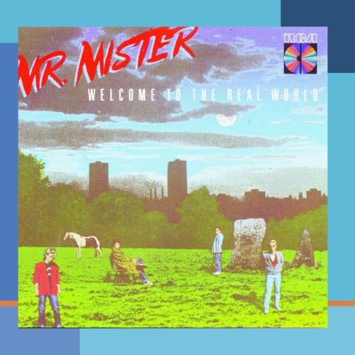 Mr. Mister Broken Wings profile picture