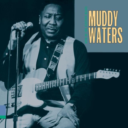 Muddy Waters Baby Please Don't Go profile picture