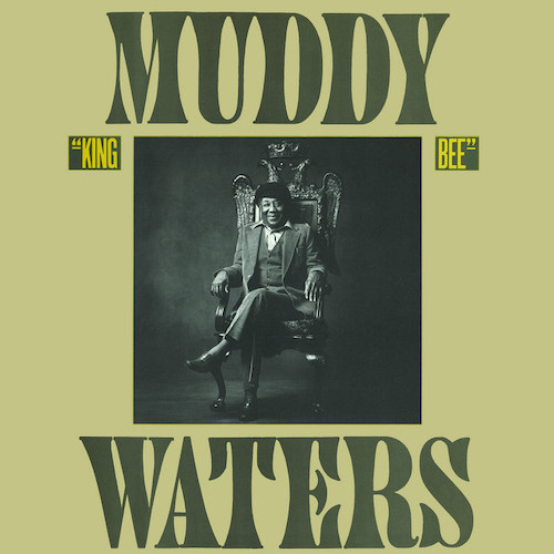 Muddy Waters I Feel Like Going Home profile picture