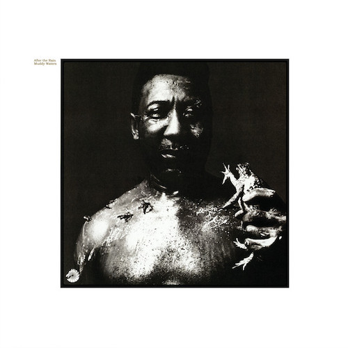 Muddy Waters Rollin' And Tumblin' profile picture