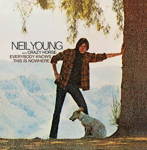 Neil Young Cinnamon Girl profile picture