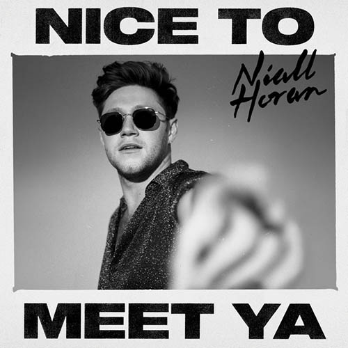 Niall Horan Nice To Meet Ya profile picture