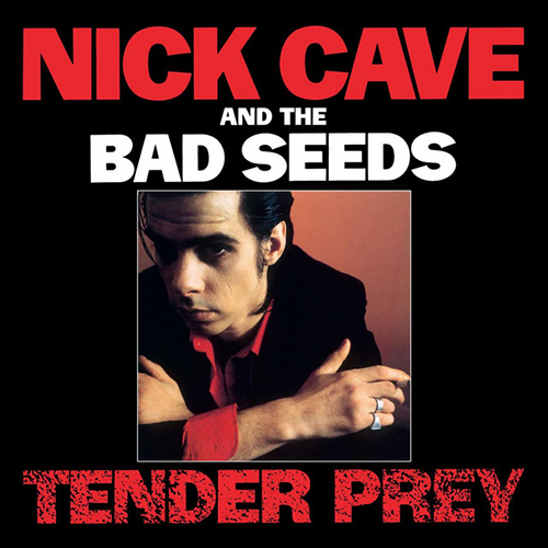 Nick Cave City Of Refuge profile picture