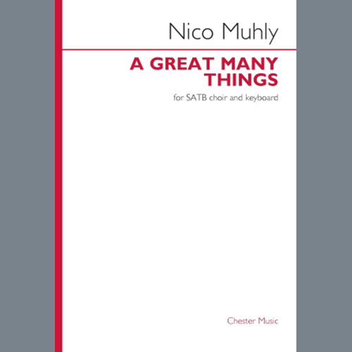 Nico Muhly A Great Many Things profile picture