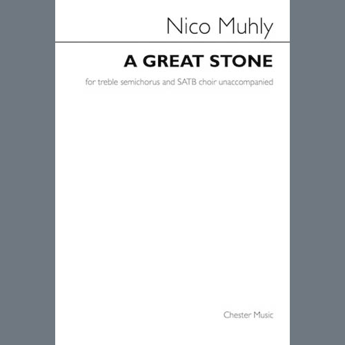 Nico Muhly A Great Stone profile picture