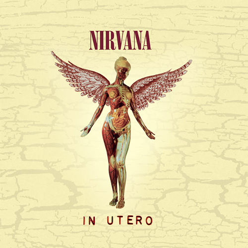 Nirvana Tourrets profile picture