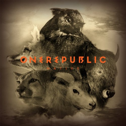 OneRepublic Light It Up pictures OneRepublic Light It Up profile picture