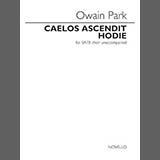 Download or print Owain Park Caelos Ascendit Hodie Sheet Music Printable PDF 14-page score for Classical / arranged SATB Choir SKU: 1791357