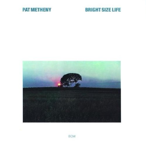 Pat Metheny Bright Size Life profile picture