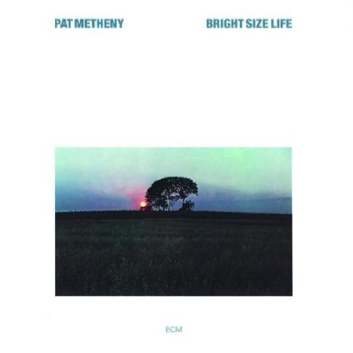 Pat Metheny Bright Size Life pictures Pat Metheny Bright Size Life profile picture
