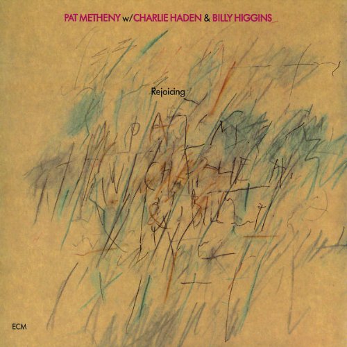 Pat Metheny Tears Inside pictures Pat Metheny Tears Inside profile picture