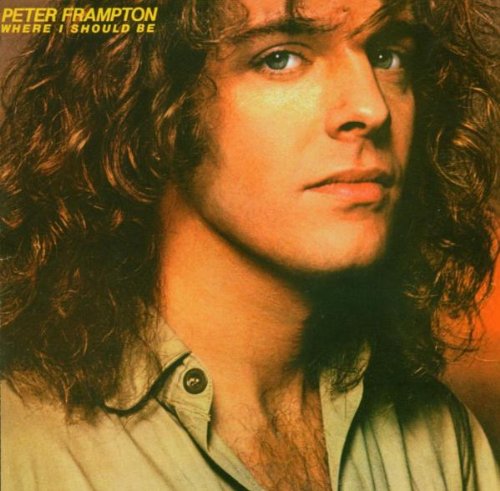 Peter Frampton I Can't Stand It No More profile picture