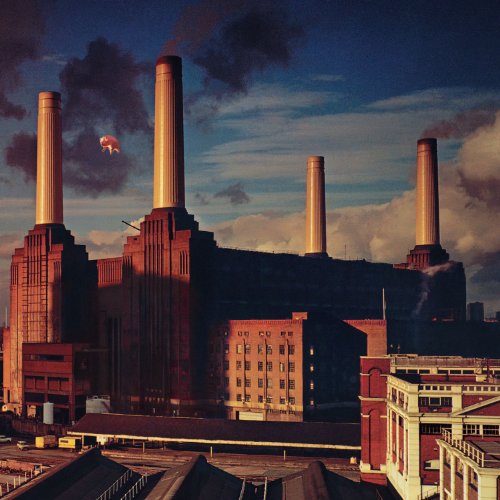 Pink Floyd Dogs profile picture