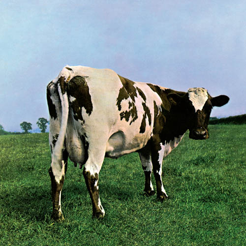 Pink Floyd Fat Old Sun profile picture