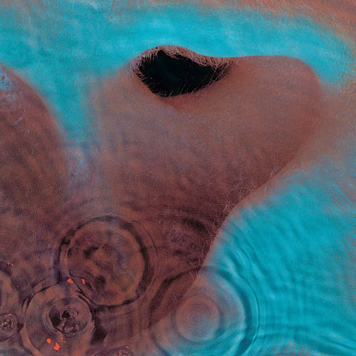Pink Floyd One Of These Days profile picture