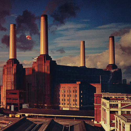 Pink Floyd Pigs (Three Different Ones) profile picture