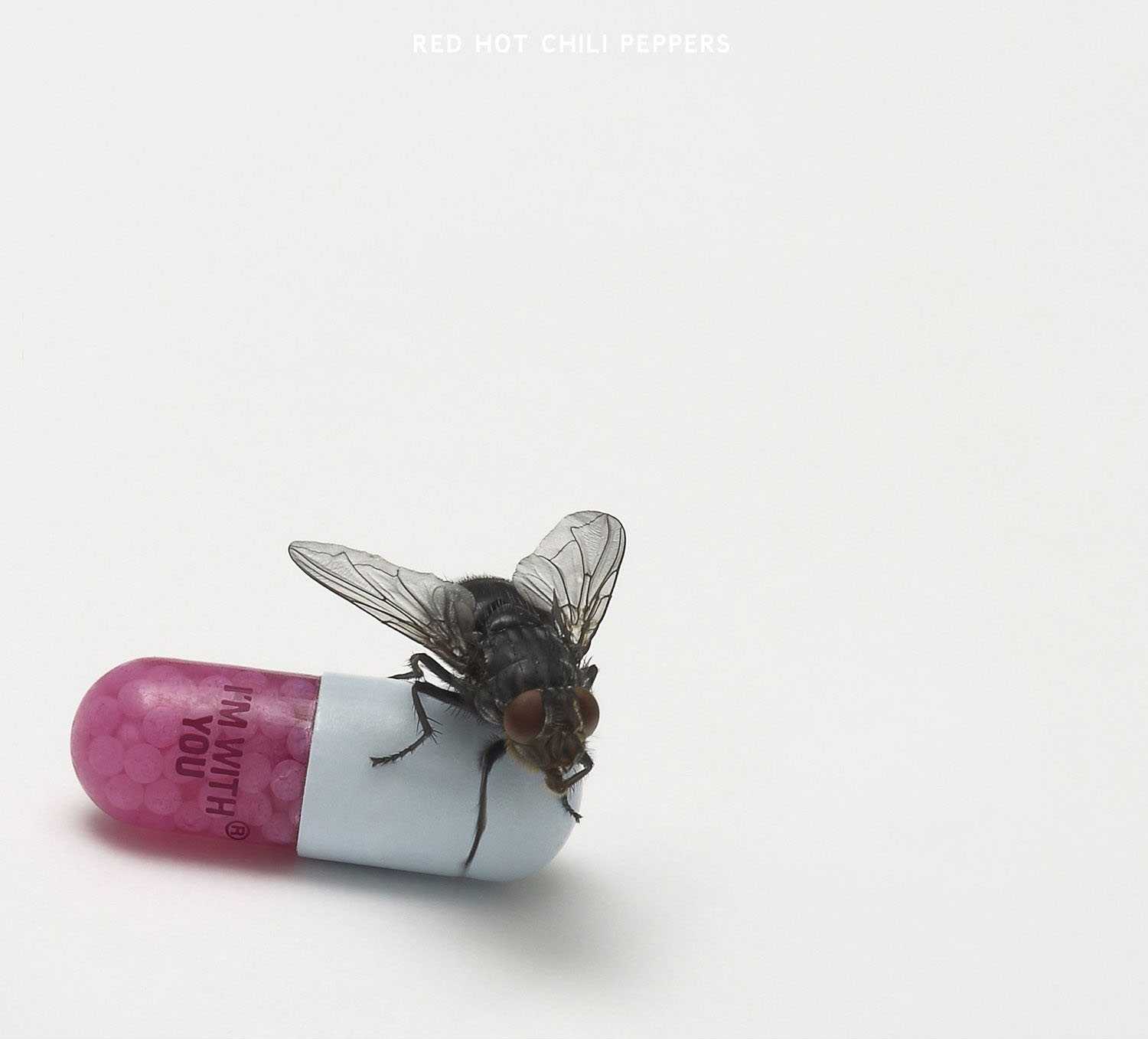 Red Hot Chili Peppers Ethiopia profile picture