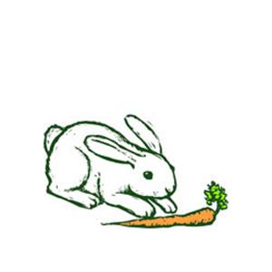 Traditional American Folksong Oh, John The Rabbit (arr. Robert I. Hugh) profile picture