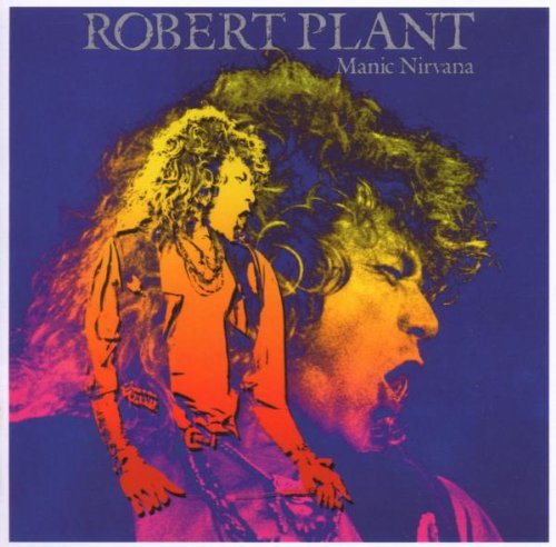 Robert Plant Hurting Kind (I've Got My Eyes On You) profile picture