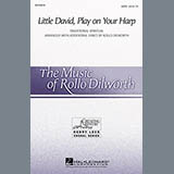Download or print Rollo Dilworth Little David, Play On Your Harp Sheet Music Printable PDF 14-page score for Concert / arranged SATB SKU: 98101