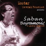 Download or print Saban Bajramovic Sila Kale Bal Sheet Music Printable PDF 2-page score for Folk / arranged Melody Line, Lyrics & Chords SKU: 122609