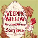 Download or print Scott Joplin Weeping Willow Rag Sheet Music Printable PDF 4-page score for Ragtime / arranged Easy Piano SKU: 103950