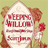 Download or print Scott Joplin Weeping Willow Rag Sheet Music Printable PDF 4-page score for Ragtime / arranged Easy Piano SKU: 103950.