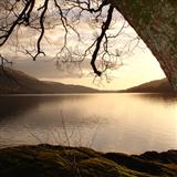 Download or print Scottish Folksong Loch Lomond Sheet Music Printable PDF 1-page score for World / arranged Melody Line, Lyrics & Chords SKU: 187431