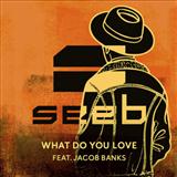 Download or print Seeb What Do You Love (feat. Jacob Banks) Sheet Music Printable PDF 7-page score for Pop / arranged Piano, Vocal & Guitar (Right-Hand Melody) SKU: 124195