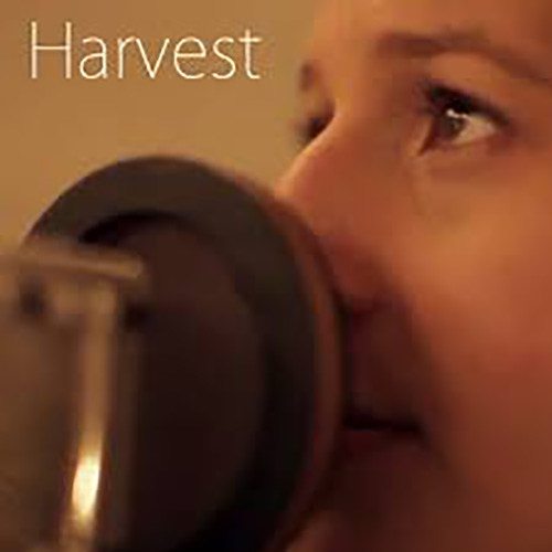 Shaina Taub Trio & Friends Harvest profile picture
