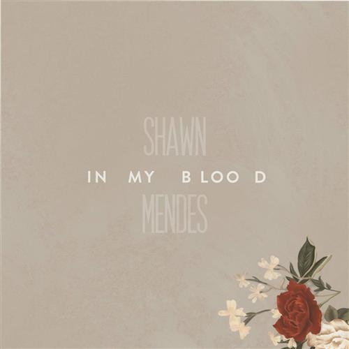 Shawn Mendes In My Blood (arr. Jacob Narverud) profile picture