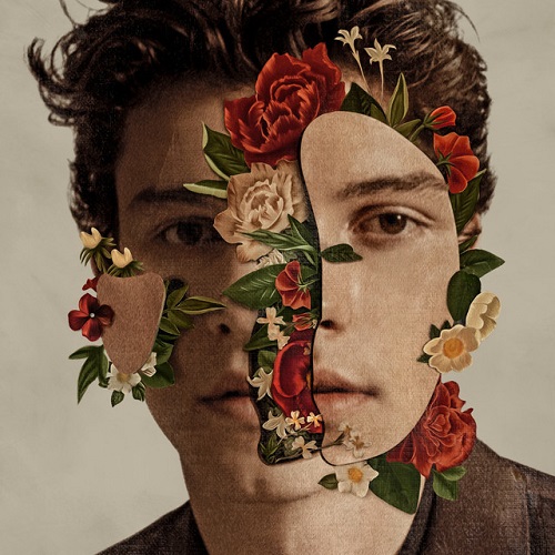 Shawn Mendes In My Blood profile picture