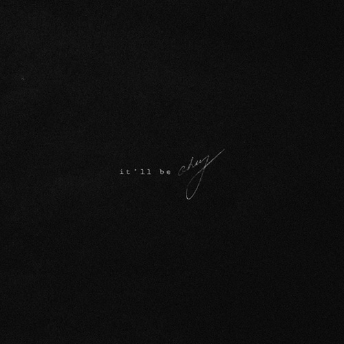 Shawn Mendes It'll Be Okay pictures Shawn Mendes It'll Be Okay profile picture