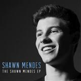 Download Shawn Mendes Life Of The Party Sheet Music arranged for Piano, Vocal & Guitar (Right-Hand Melody) - printable PDF music score including 5 page(s)