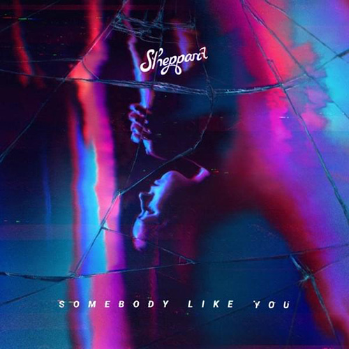 Sheppard Somebody Like You pictures Sheppard Somebody Like You profile picture