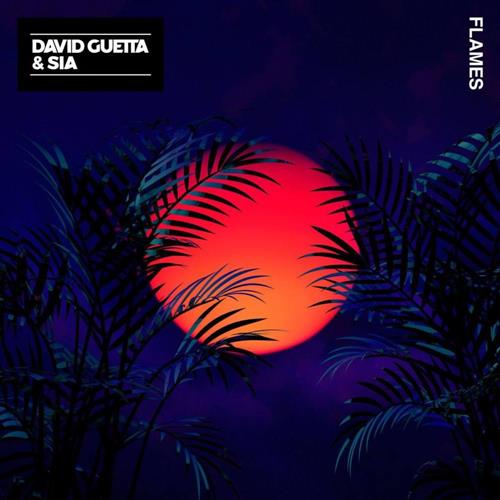 David Guetta Flames profile picture
