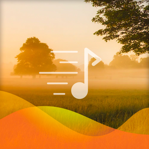 Southern American Folk Hymn Wayfaring Stranger (arr. Jim Schustedt) profile picture