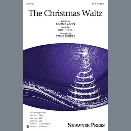 Steve Zegree The Christmas Waltz profile picture