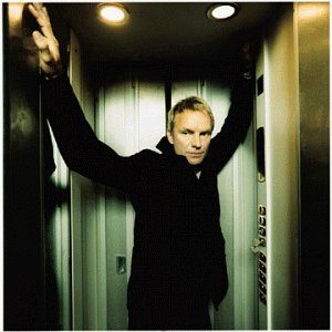 Sting After The Rain Has Fallen profile picture