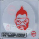 Super Furry Animals Ice Hockey Hair profile picture