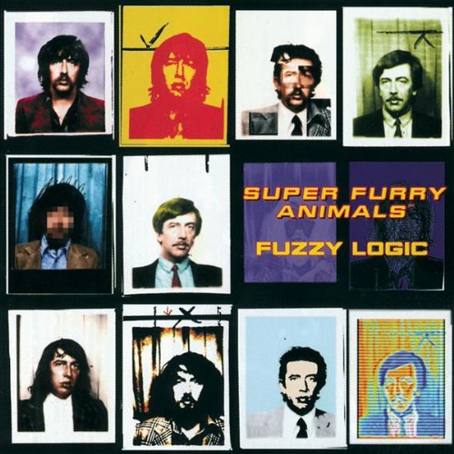 Super Furry Animals If You Don't Want Me To Destroy You profile picture