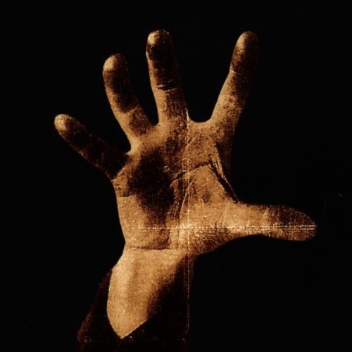 System Of A Down Spiders pictures System Of A Down Spiders profile picture