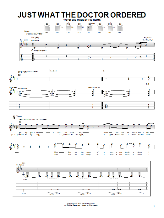 Ted Nugent Just What The Doctor Ordered sheet music, chords, lyrics - Printable PDF for Guitar Tab