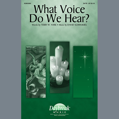 Terry W. York and David Schwoebel What Voice Do We Hear? profile picture