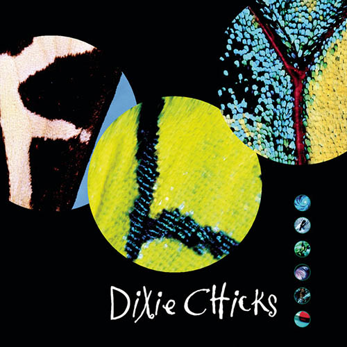 Dixie Chicks If I Fall You're Going Down With Me profile picture